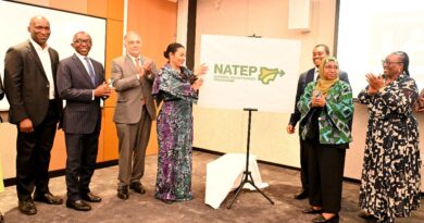 National Talent Export Programme (NATEP)