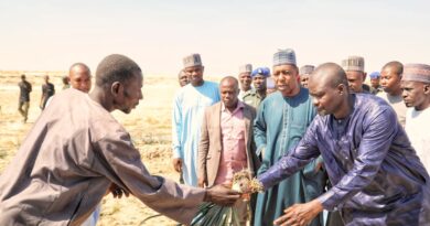 Food Security: Zulum announces 7 pilot irrigation schemes in Borno