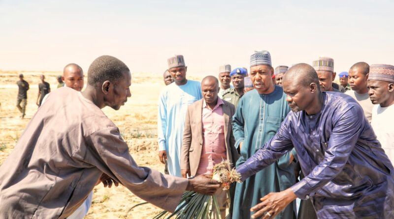 Food Security: Zulum announces 7 pilot irrigation schemes in Borno